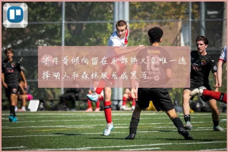 字母哥倾向留在东部热火非唯一选择湖人和森林狼或成黑马