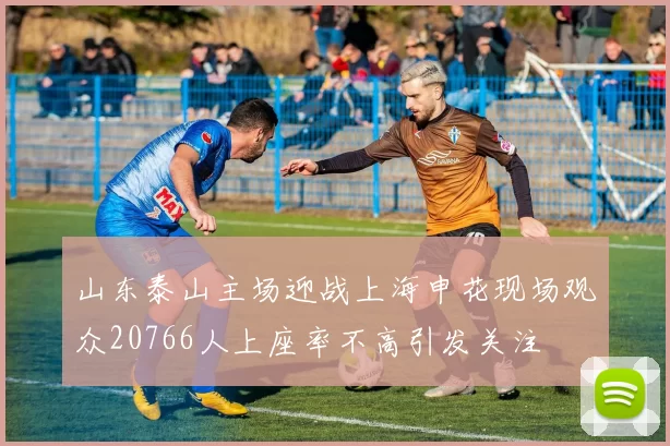 山东泰山主场迎战上海申花现场观众20766人上座率不高引发关注